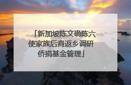 新加坡陈文确陈六使家族后裔返乡调研侨捐基金管理