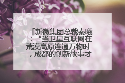 新微集团总裁秦曦：“当卫星互联网在荒漠高原连通万物时，成都的创新故事才真正开始”