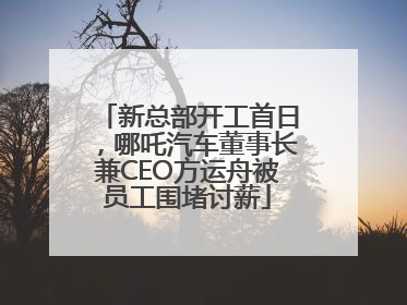 新总部开工首日，哪吒汽车董事长兼CEO方运舟被员工围堵讨薪