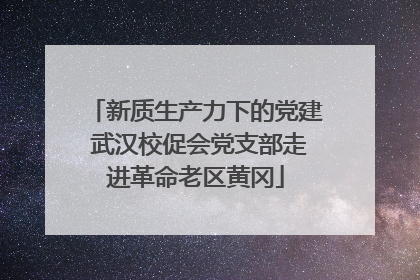 新质生产力下的党建 武汉校促会党支部走进革命老区黄冈