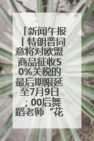 新闻午报丨特朗普同意将对欧盟商品征收50%关税的最后期限延至7月9日；00后舞蹈老师“花式”推介家乡岳阳>>