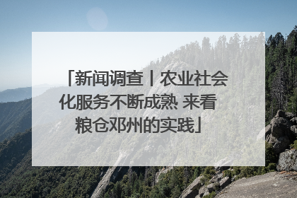 新闻调查丨农业社会化服务不断成熟 来看粮仓邓州的实践