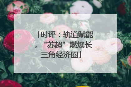 时评：轨道赋能，“苏超”燃爆长三角经济圈