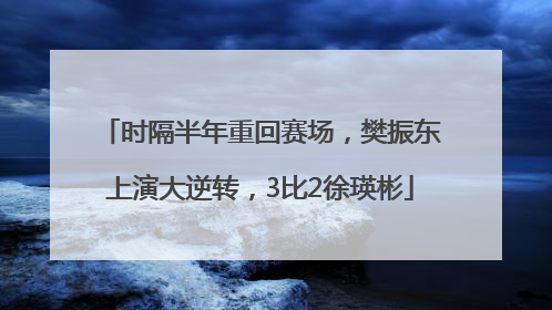 时隔半年重回赛场，樊振东上演大逆转，3比2徐瑛彬