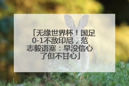 无缘世界杯！国足0-1不敌印尼，范志毅语塞：早没信心了但不甘心
