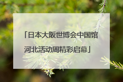 日本大阪世博会中国馆河北活动周精彩启幕