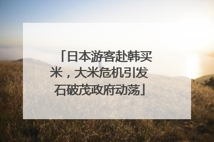 日本游客赴韩买米，大米危机引发石破茂政府动荡