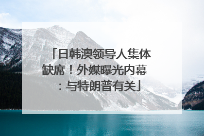 日韩澳领导人集体缺席！外媒曝光内幕：与特朗普有关