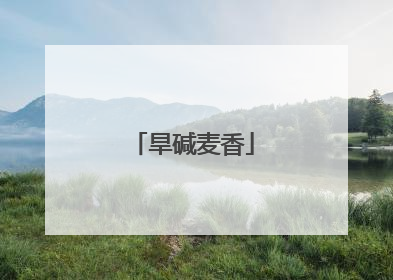 旱碱麦香