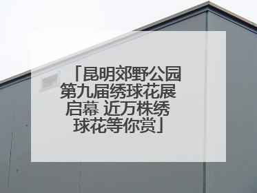 昆明郊野公园第九届绣球花展启幕 近万株绣球花等你赏
