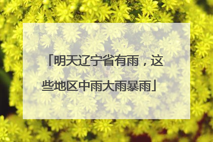 明天辽宁省有雨，这些地区中雨大雨暴雨
