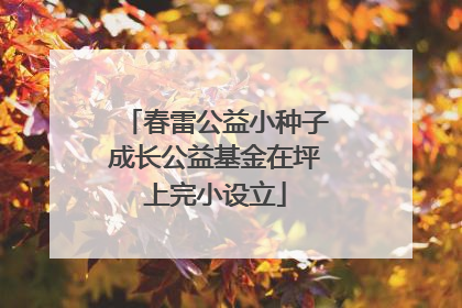 春雷公益小种子成长公益基金在坪上完小设立