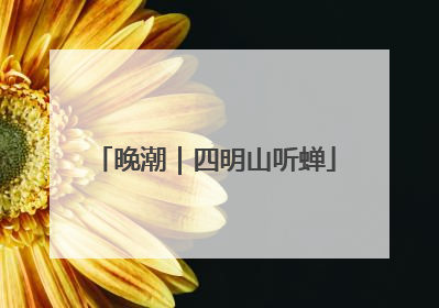 晚潮｜四明山听蝉