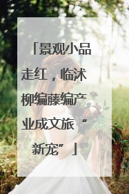 景观小品走红，临沭柳编藤编产业成文旅“新宠”