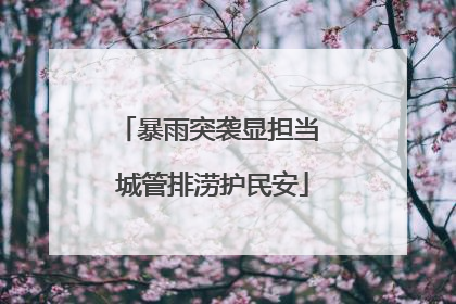 暴雨突袭显担当 城管排涝护民安