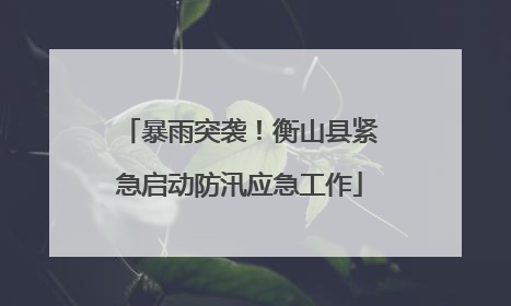 暴雨突袭！衡山县紧急启动防汛应急工作