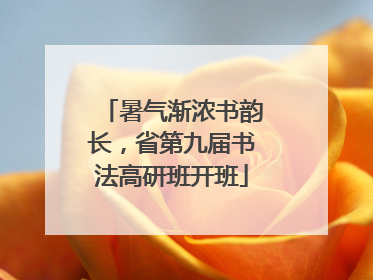 暑气渐浓书韵长，省第九届书法高研班开班