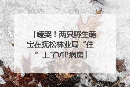 暖哭！两只野生萌宝在抚松林业局“住”上了VIP病房