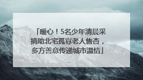 暖心！5名少年清晨采摘助北宅孤寡老人售杏，多方善意传递城市温情