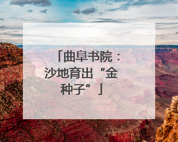 曲阜书院：沙地育出“金种子”