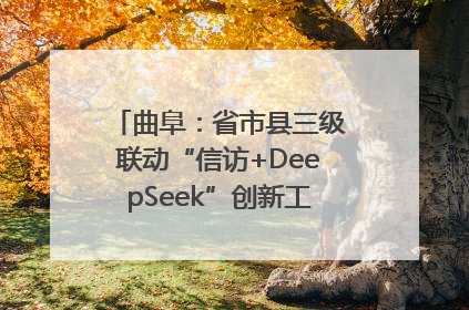 曲阜：省市县三级联动“信访+DeepSeek”创新工作新闻发布会举行