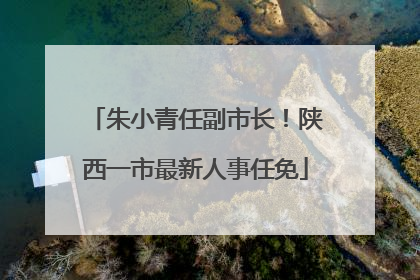 朱小青任副市长！陕西一市最新人事任免