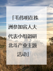 毛伟明在株洲参加省人大代表小组调研北斗产业主题活动