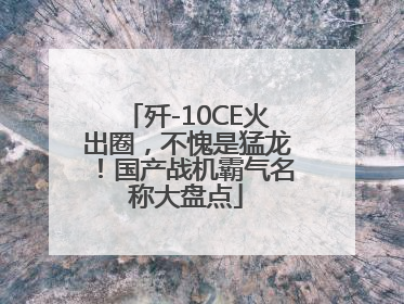 歼-10CE火出圈，不愧是猛龙！国产战机霸气名称大盘点