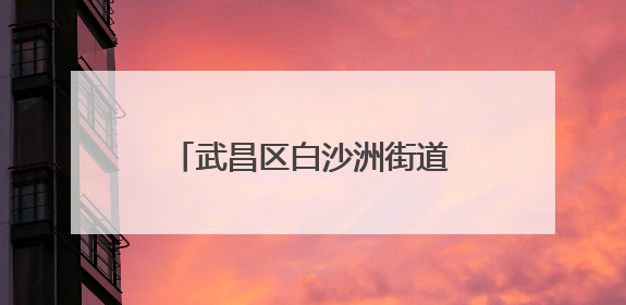 武昌区白沙洲街道：清理沿岸垃圾 “扮靓”长江母亲河