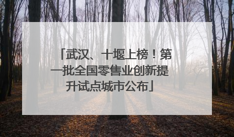 武汉、十堰上榜！第一批全国零售业创新提升试点城市公布