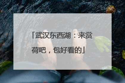 武汉东西湖：来赏荷吧，包好看的