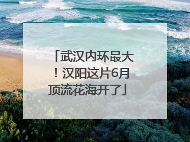武汉内环最大！汉阳这片6月顶流花海开了