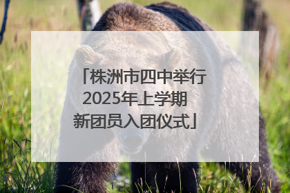 株洲市四中举行2025年上学期新团员入团仪式