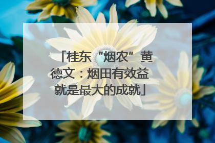 桂东“烟农”黄德文：烟田有效益就是最大的成就