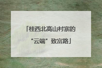 桂西北高山村寨的“云端”致富路