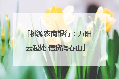 桃源农商银行：万阳云起处 信贷润春山