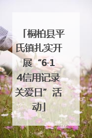 桐柏县平氏镇扎实开展“6·14信用记录关爱日”活动