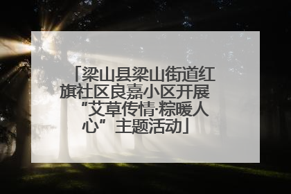 梁山县梁山街道红旗社区良嘉小区开展“艾草传情·粽暖人心”主题活动