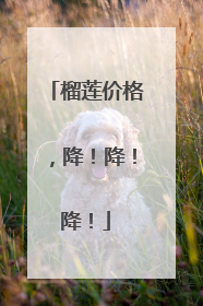榴莲价格，降！降！降！