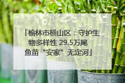榆林市横山区：守护生物多样性 29.5万尾鱼苗“安家”无定河