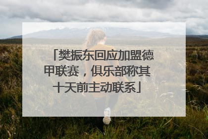 樊振东回应加盟德甲联赛，俱乐部称其十天前主动联系