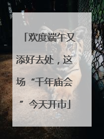 欢度端午又添好去处，这场“千年庙会”今天开市