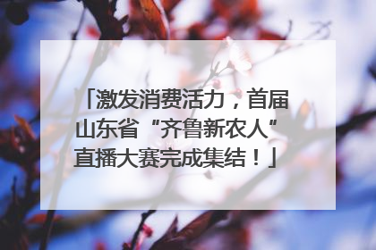 激发消费活力，首届山东省“齐鲁新农人”直播大赛完成集结！