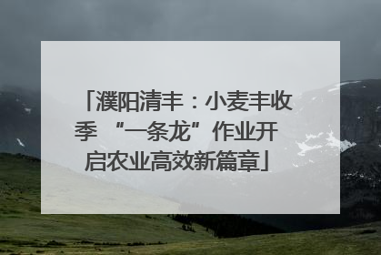 濮阳清丰：小麦丰收季 “一条龙”作业开启农业高效新篇章