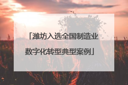 潍坊入选全国制造业数字化转型典型案例