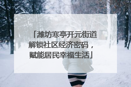 潍坊寒亭开元街道解锁社区经济密码，赋能居民幸福生活