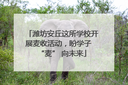 潍坊安丘这所学校开展麦收活动，盼学子 “麦” 向未来