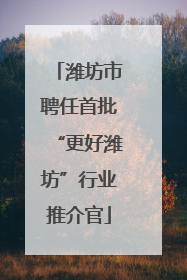 潍坊市聘任首批“更好潍坊”行业推介官
