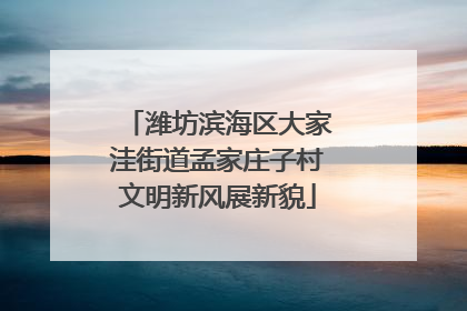 潍坊滨海区大家洼街道孟家庄子村文明新风展新貌