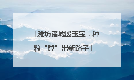 潍坊诸城殷玉宝：种粮“蹚”出新路子